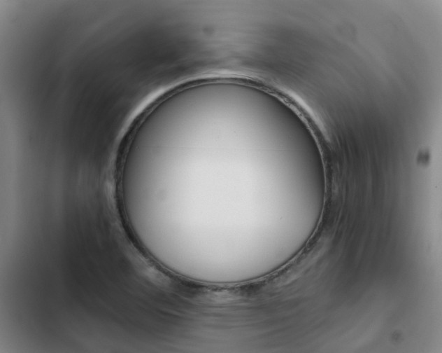 X0000103271460200808291055