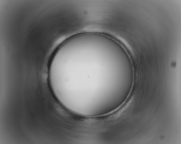 X0000103271461200808291055
