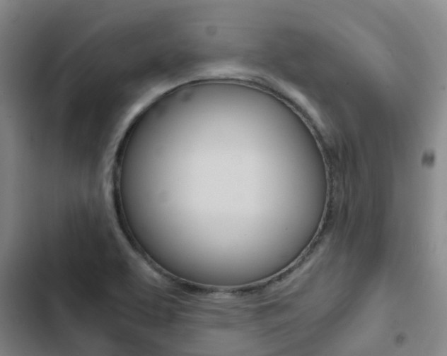 X0000103271463200808291055