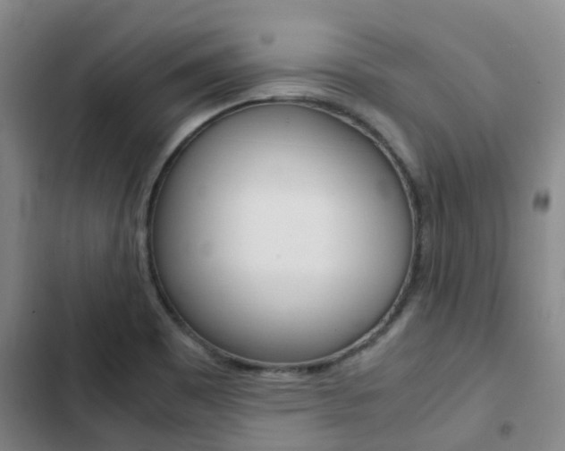 X0000103271465200808291055
