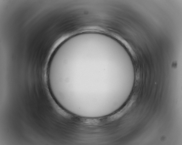 X0000103271466200808291055