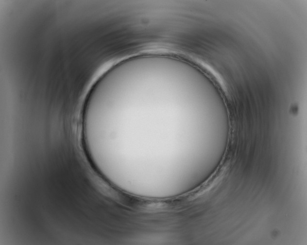 X0000103271467200808291055
