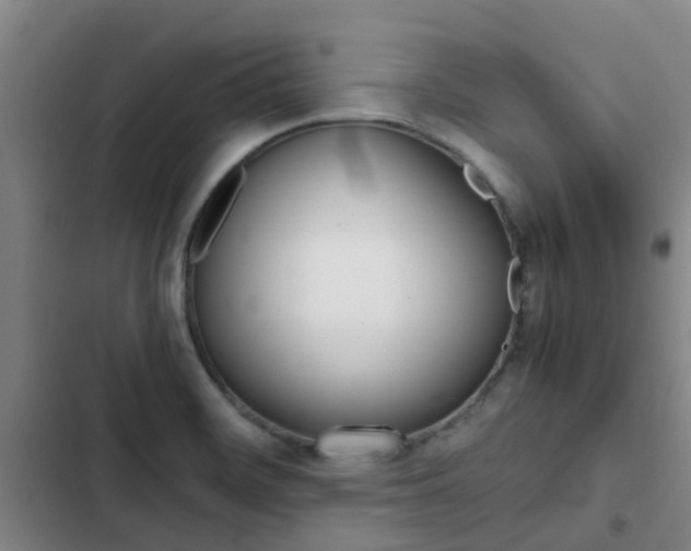 X0000103271468200808291055