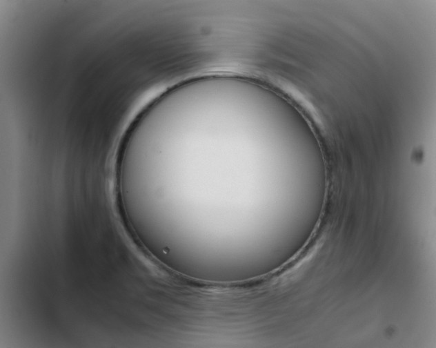 X0000103271469200808291055