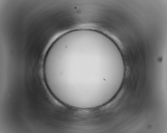 X0000103271470200808291055