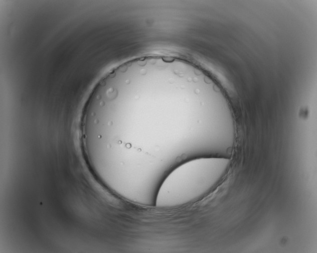 X0000103271471200808291055