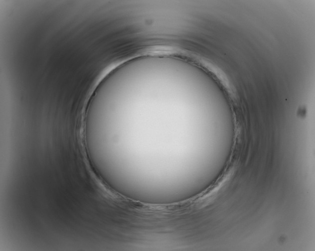 X0000103271473200808291055