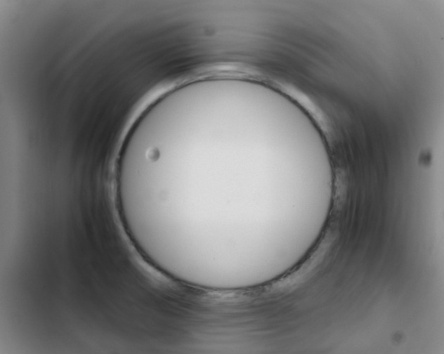 X0000103271474200808291055