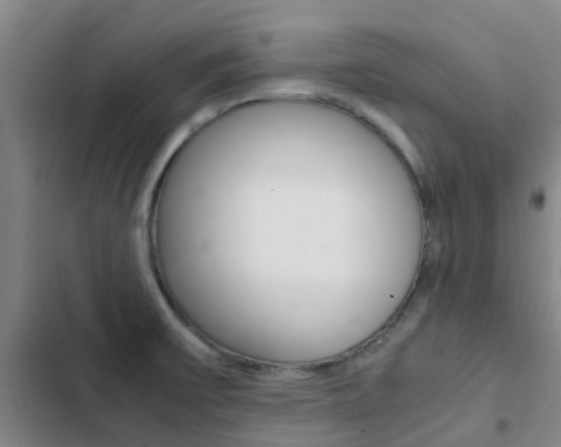 X0000103271475200808291055