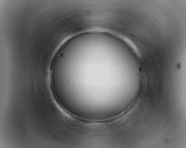 X0000103271476200808291055