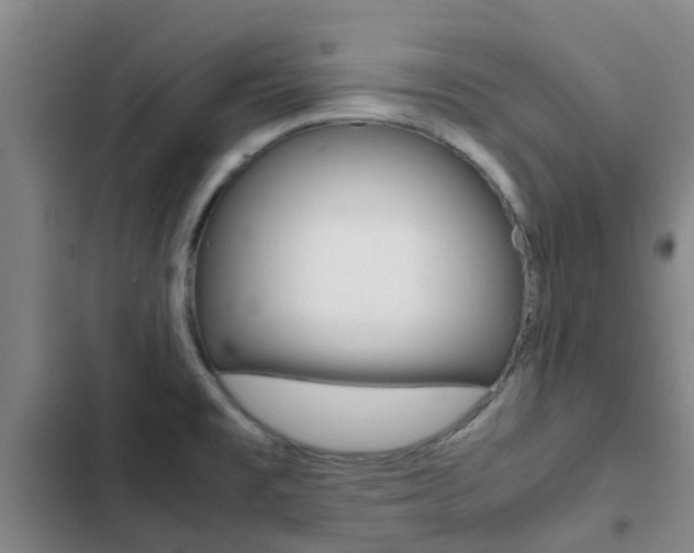 X0000103271477200808291055