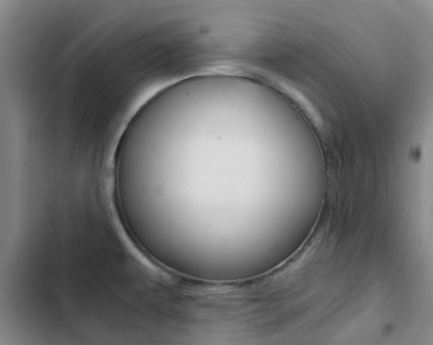 X0000103271479200808291055
