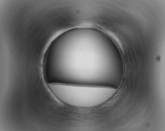 X0000103271480200808291055