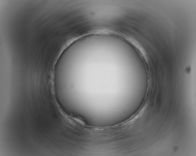 X0000103271481200808291055