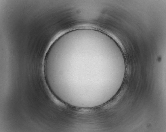 X0000103271482200808291055