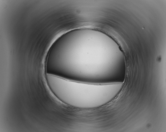 X0000103271483200808291055