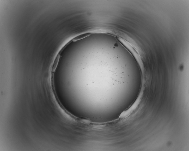 X0000103271484200808291055
