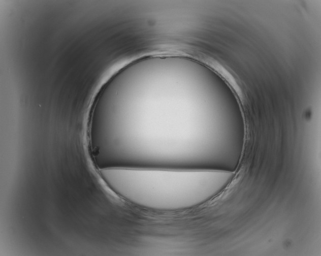 X0000103271485200808291055