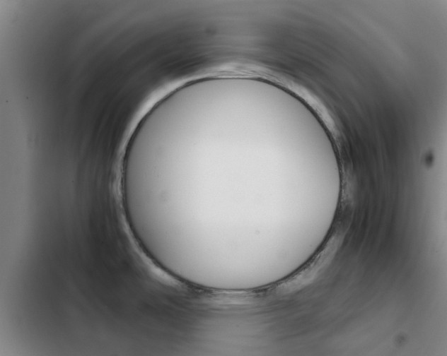 X0000103271486200808291055