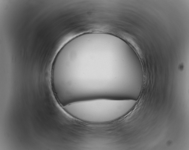 X0000103271487200808291055