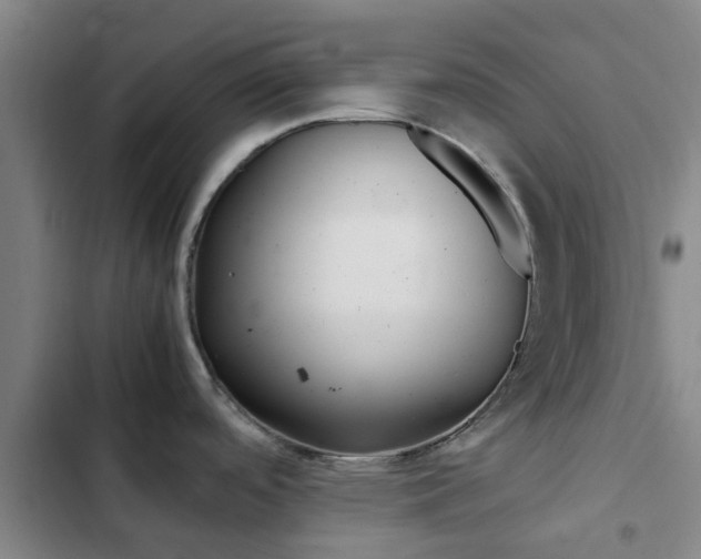 X0000103271488200808291055