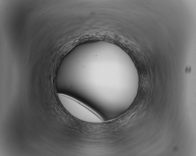 X0000103271489200808291054