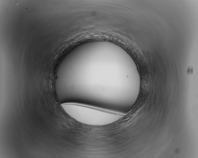 X0000103271490200808291054