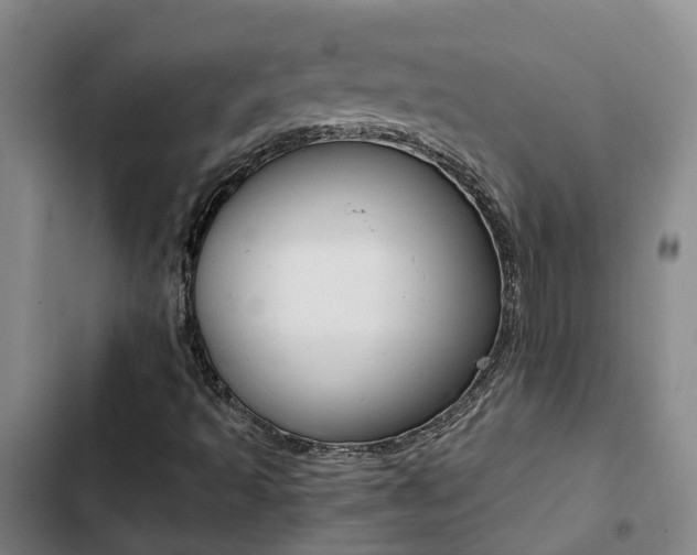 X0000103271493200808291054