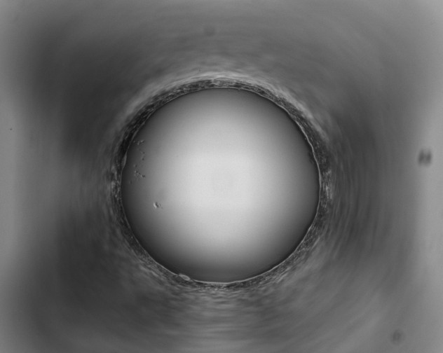 X0000103271495200808291054