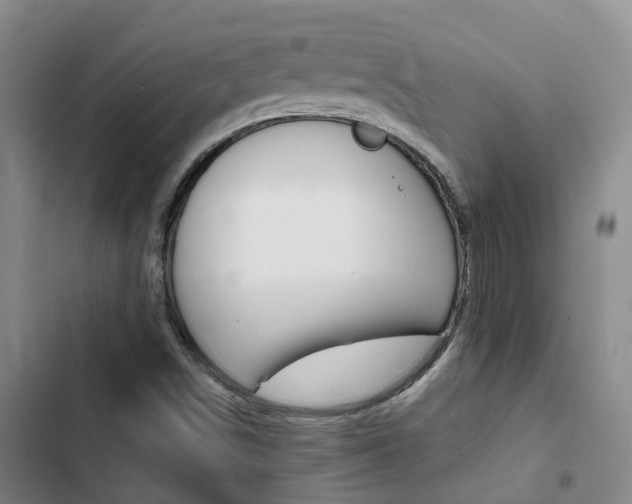 X0000103271498200808291054