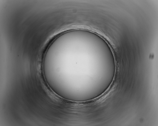 X0000103271499200808291054