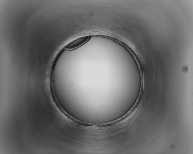 X0000103271500200808291054