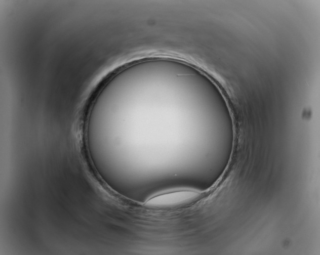 X0000103271503200808291054