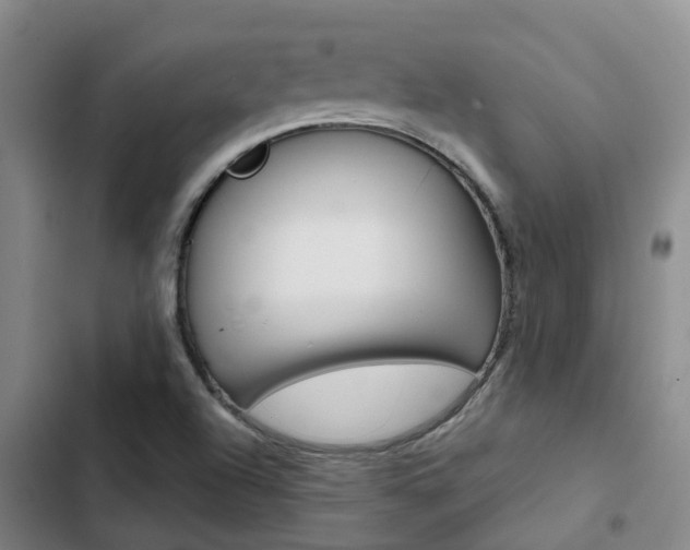 X0000103271504200808291054