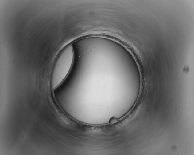 X0000103271505200808291054