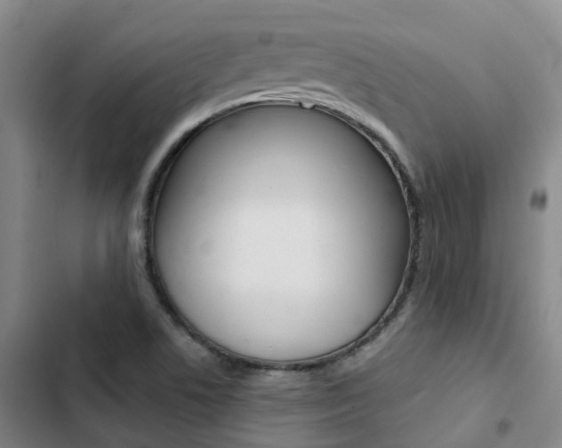 X0000103271506200808291054