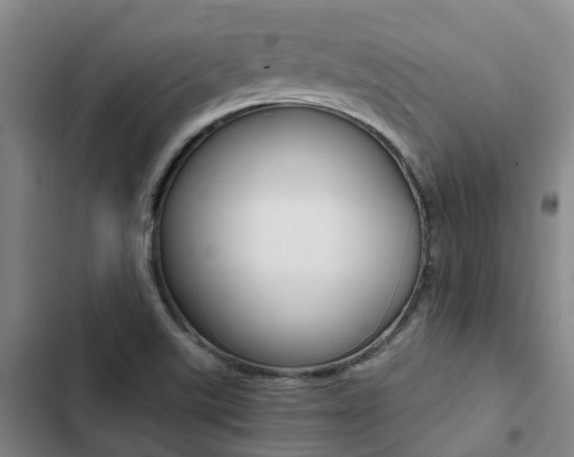X0000103271507200808291054