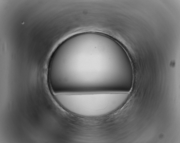 X0000103271508200808291054