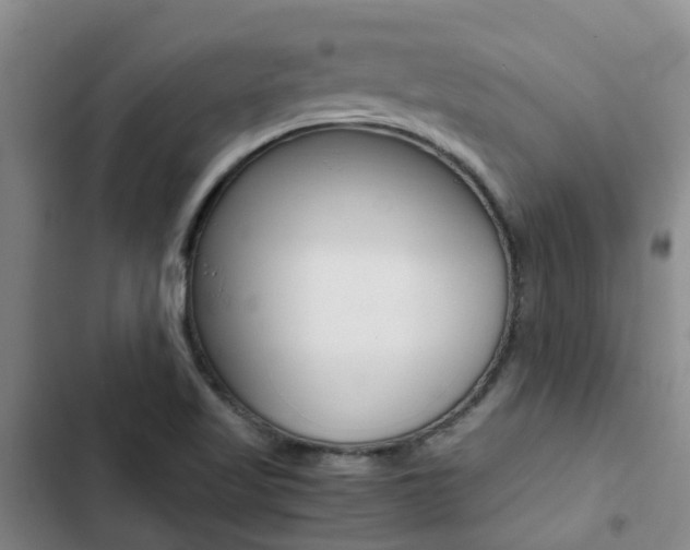 X0000103271509200808291054