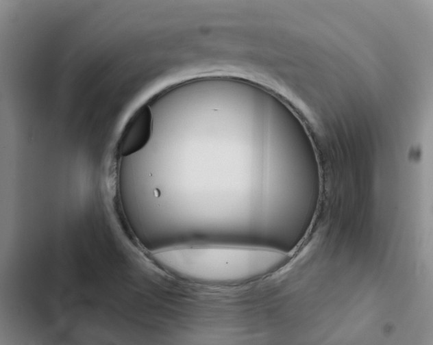X0000103271510200808291054