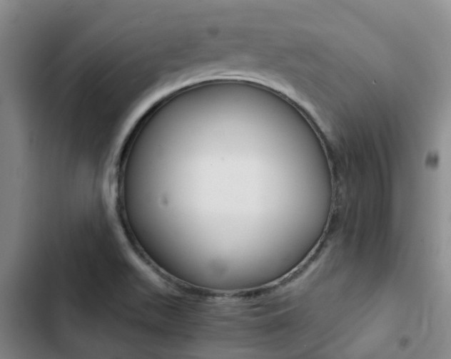 X0000103271511200808291054