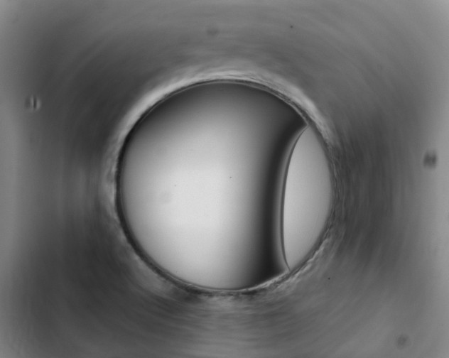 X0000103271512200808291054
