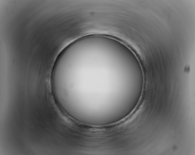 X0000103271513200808291054