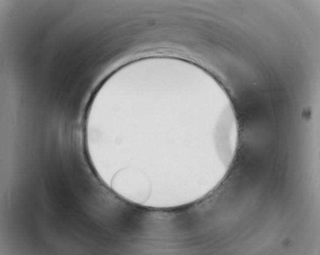X0000103271514200808291054