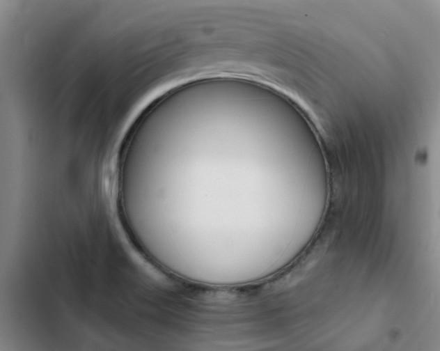 X0000103271515200808291054