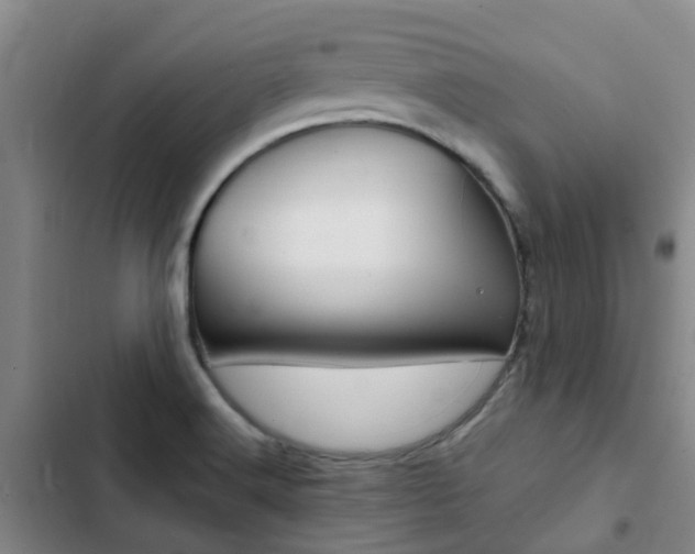 X0000103271516200808291054