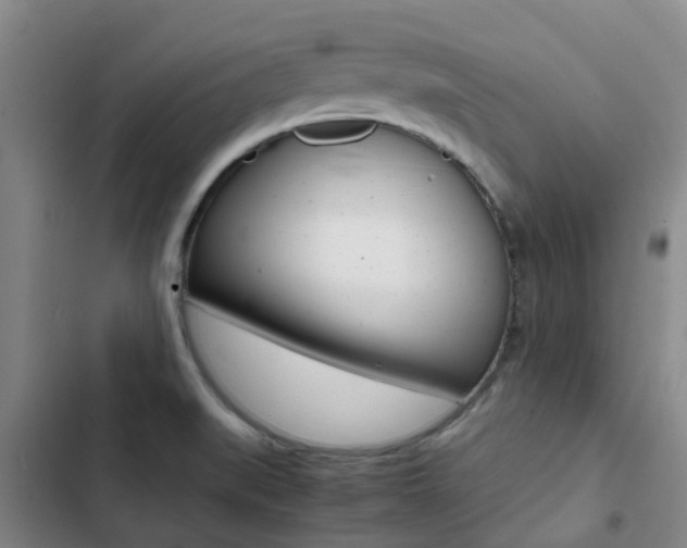 X0000103271519200808291054