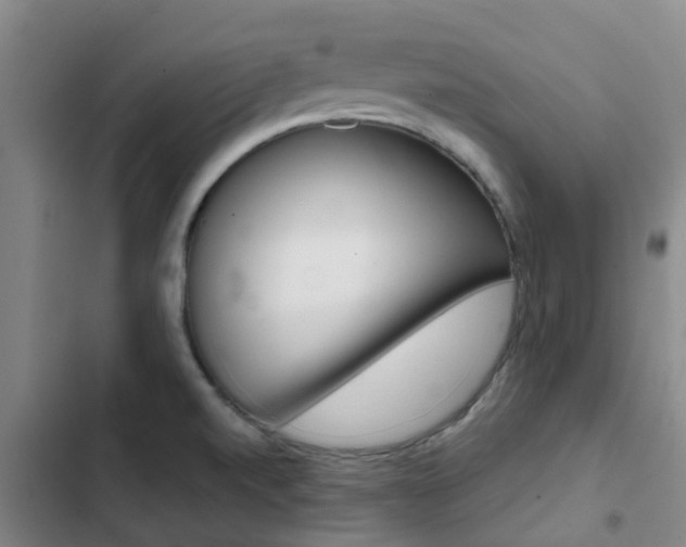 X0000103271520200808291054