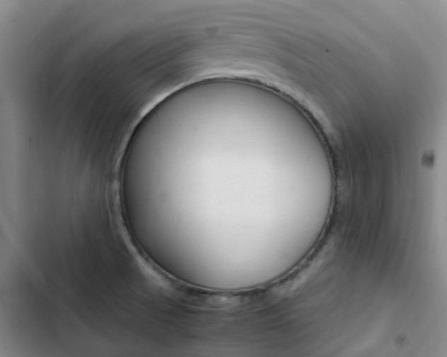 X0000103271521200808291054