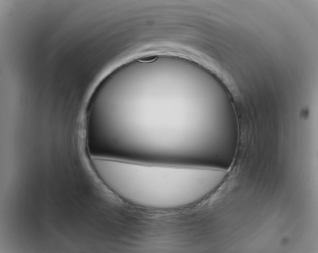 X0000103271522200808291054
